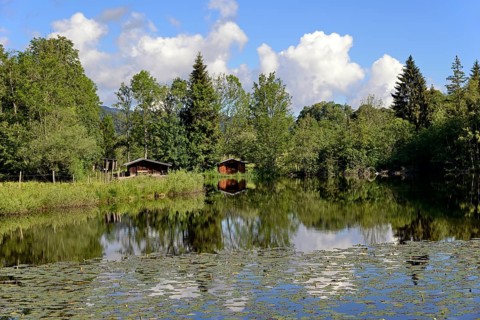 Moor pond