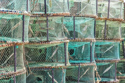 Pattern made of green traps used in Portugal to catch octopus and crabs