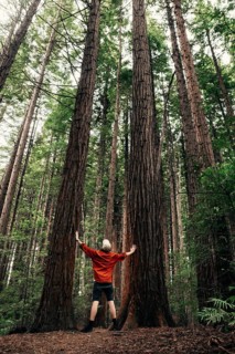 Guy standing between two trees