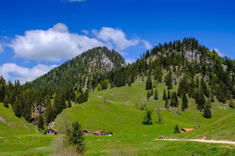Arzmoosalmen