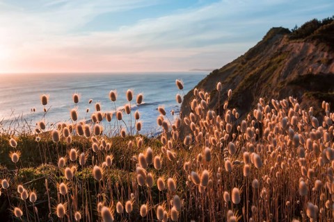 Sunset at Mahia Bay