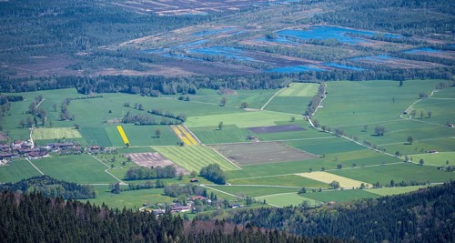 View of fields