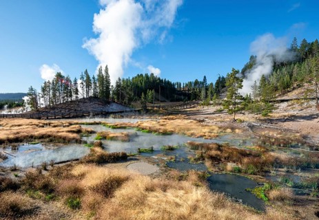 Mud Volcano Swampy Thermal Springs