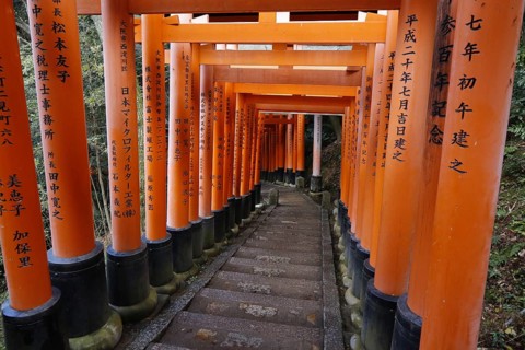 Famous torii gates on the path to Fushimi Inari Taisha shrine on Mount Inari in Kyoto