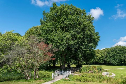 Landscape garden and castle park