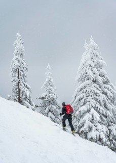 Ski tourers
