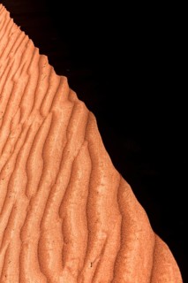 Desert