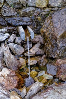 Etsch spring