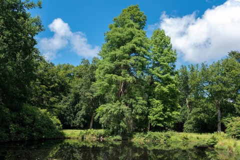 Landscape garden and castle park