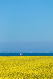 Boats