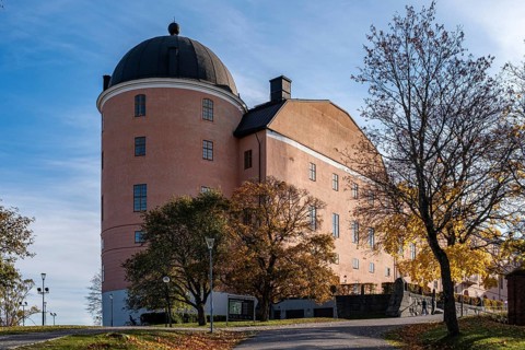 Uppsala castle