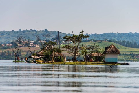 Little island at the source of the Nile