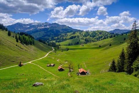 Arzmoosalmen