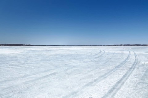 Winter landscape