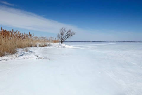 Winter landscape