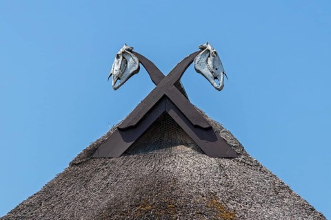 Horse skull on a thatched roof