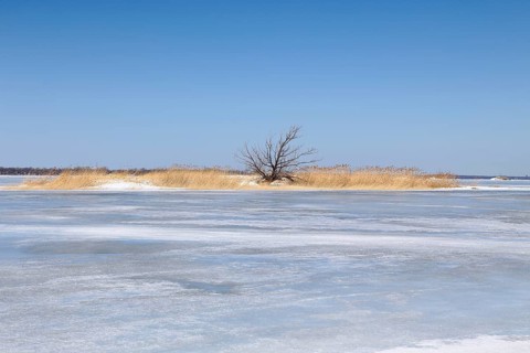 Winter landscape