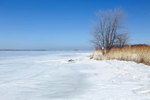 Winter landscape