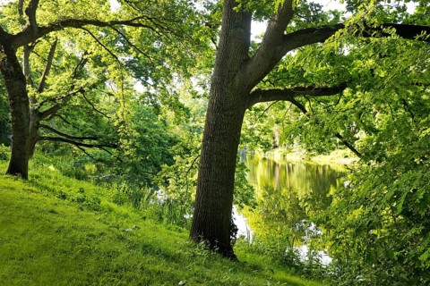 Bremer Wallanlagen