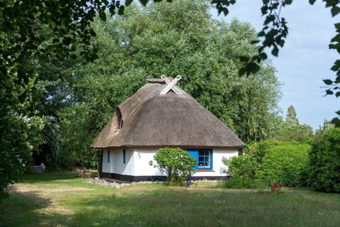 Witch's house