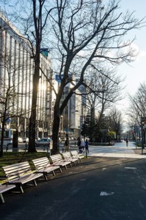 Odori Park
