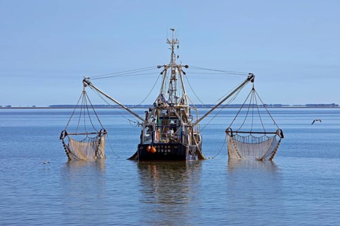 Crab cutter in the North Sea off Buesum