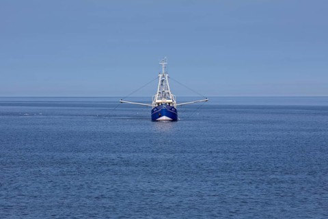 Crab cutter in the North Sea off Buesum