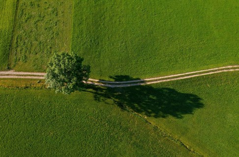 Drone image