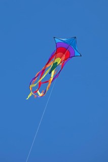 Flying kite