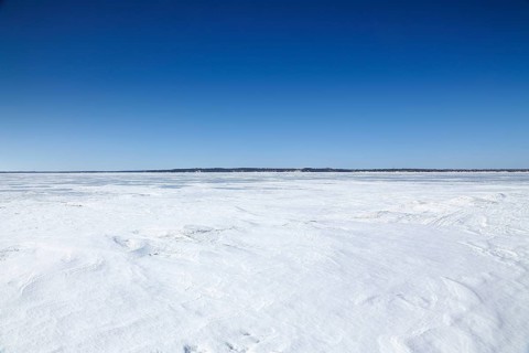 Winter landscape