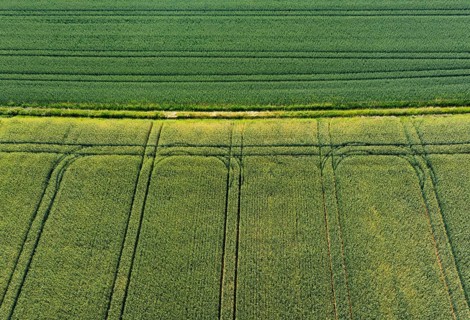 Drone image
