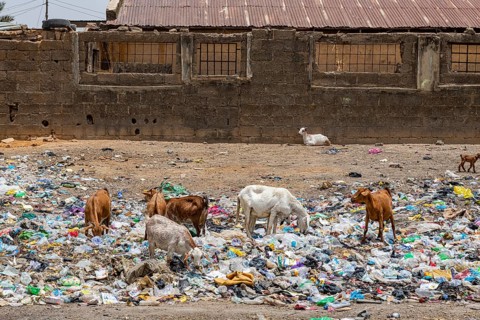 Rubbish on the streets of Bauchi