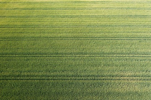 Drone image