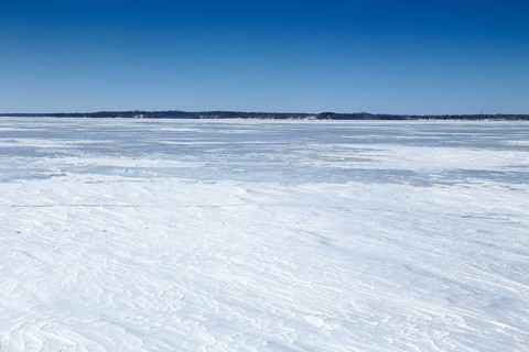 Winter landscape