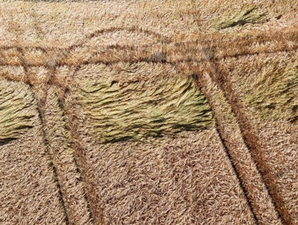 Drone image