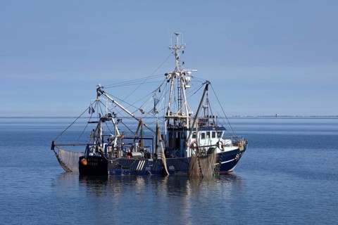 Crab cutter in the North Sea off Buesum