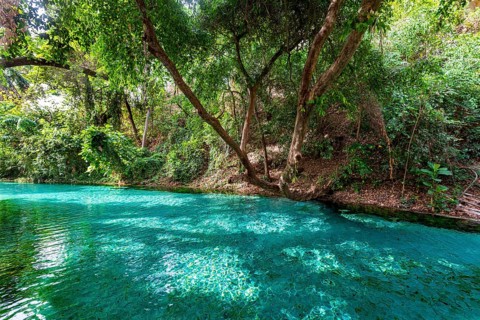 Turquoise Wikki warm springs