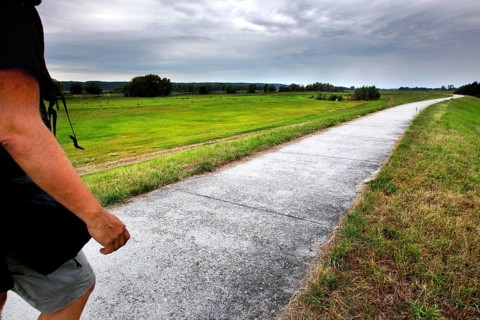 Hiker on Elbe dike