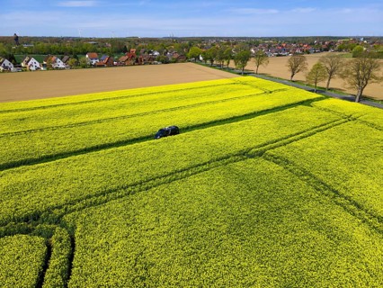 Drone shot of a camper van in a rape field