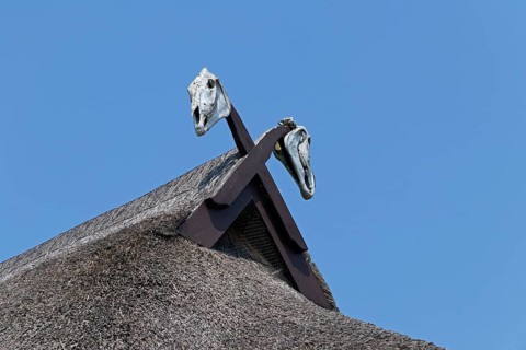 Horse skull on a thatched roof