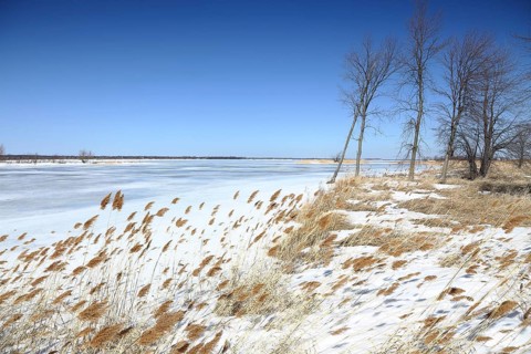 Winter landscape
