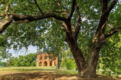 Court arbour