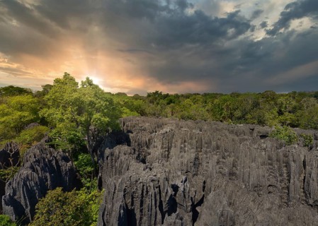 Needle stone rocks in the Tsingy de Bemaraha National Park in western Madagascar