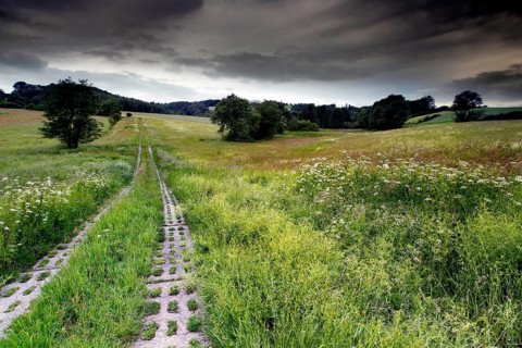 Kolonnenweg