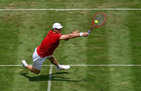 Action at the net