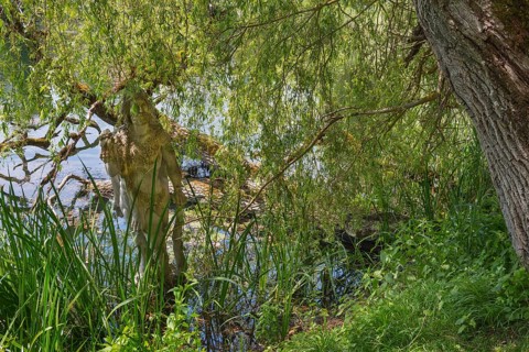 Sculpture of Hercules by Erwin Franz Wiegerling with weeping willow