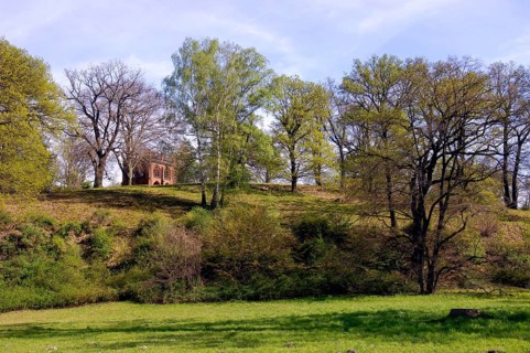Court arbour