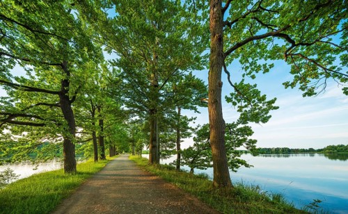 Oak avenue between ponds in the Plothen pond area