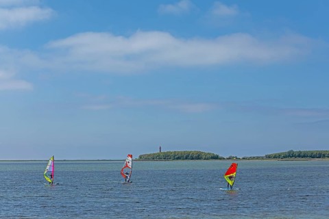 Windsurfer