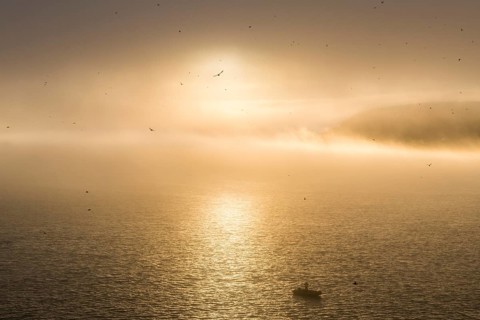 Zodiac in moody backlight before Skala Rubini or Rubini rock